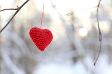 Aşk kalbi kış ormanında güneşe karşı. Kırmızı örülmüş kalp bir dala asılı, romantik aşkın sembolü, Sevgililer Günü için arka plan