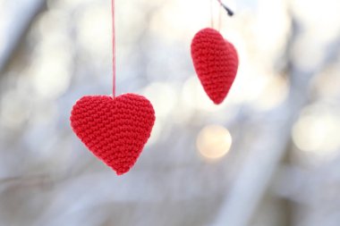 Sevgililer günü kalpleri kış ormanındaki bir ağaç dalında asılı duruyor. Güneş ışığında iki kırmızı kalp, romantik aşkın sembolü, tatil için arka plan.