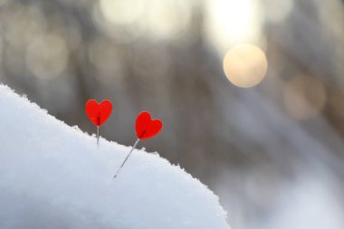 Güneş ışığında karda iki aşk kalbi. Romantik tebrik kartı geçmişi, Sevgililer Günü