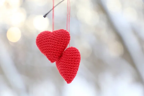 Valentijnskaarten Hangend Aan Een Boomtak Het Winterbos Twee Rode Gebreide — Stockfoto