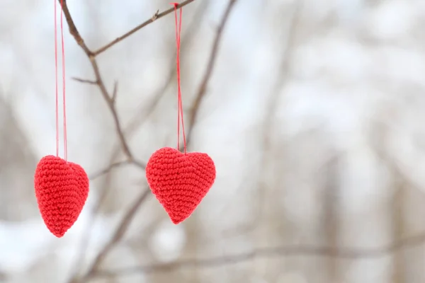 Любовь Сердца Висит Ветке Дерева Белом Снежном Фоне Два Красных — стоковое фото