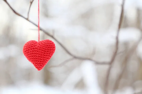 Valentijnskaart Hart Winterbos Rood Gebreid Liefdessymbool Hangend Aan Een Tak — Stockfoto