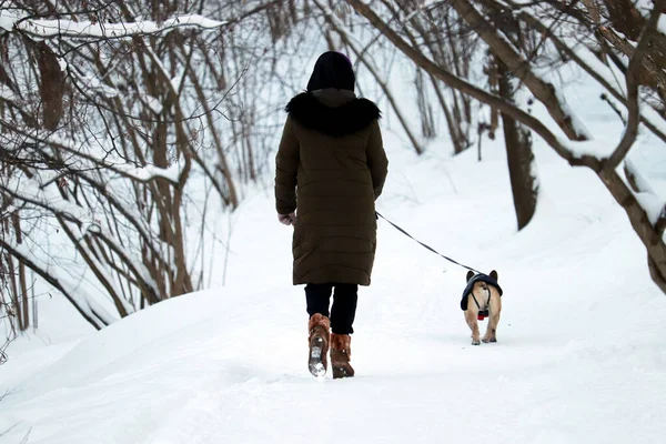 一个孤独的女孩在冬季公园遛狗 寒冷的雪天 闲暇和健康的生活方式概念 — 图库照片