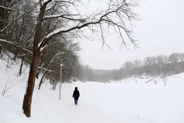 Nieve Parque Invierno Árboles Cubiertos Nieve Lago Congelado Vista Pintoresca — Foto de Stock