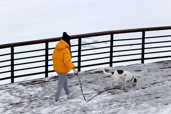 Девушка Выгуливает Собаку Зимнем Парке Берегу Замёрзшего Озера Отдых Холодную — стоковое фото