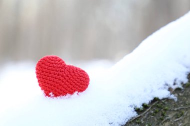 Sevgililer günü güneşi altında karın üzerinde. Kış ormanlarında bir dalda romantik aşkın kırmızı örülmüş sembolü, tatil için arka plan