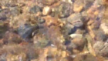 Taşların üzerinde akan su. Güneşli bir günde dağ deresi