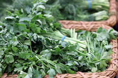 Marketteki sepette taze maydanoz ve dereotu. Sebze salatası.