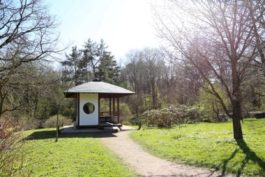 Güneşli bir günde Japon bahçesinde geleneksel çardak, Asya kültürü. Ağaçlarla çevrili eski usul ahşap çay evi.
