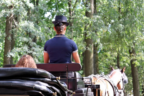 Cabman Girl Carrega Passageiro Uma Carruagem Cavalo Parque Verão Viagens — Fotografia de Stock