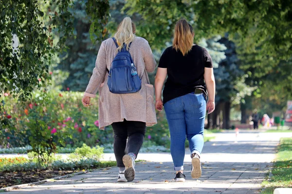 Duas Mulheres Gordas Andar Rua Cidade Vista Para Trás Conceito — Fotografia de Stock