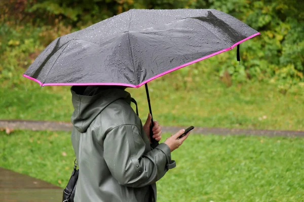 街の雨 手にスマートフォンで秋の公園に立って傘を持つ女性 雨の天気 — ストック写真