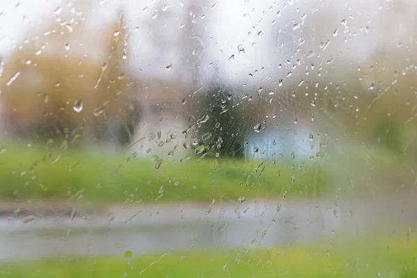 Gotas Chuva Vidro Janela Fundo Vegetação — Fotografia de Stock