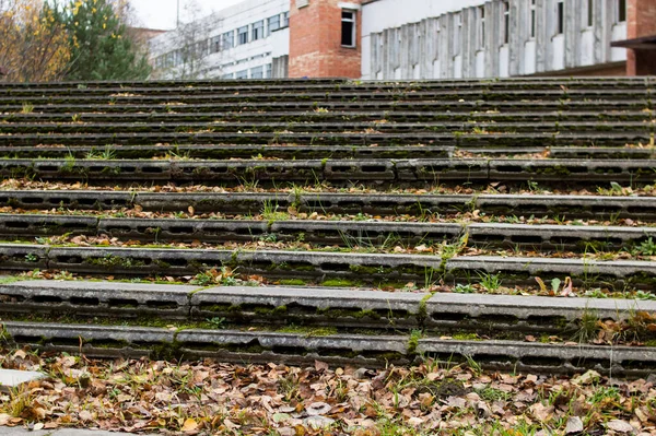 水泥台阶上的草叶和黄叶紧密相连 — 图库照片