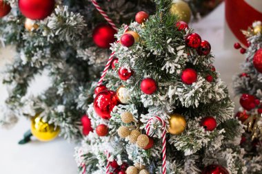 Spruce şubesindeki Noel balosu. Yakın plan, boşluğu kopyala.