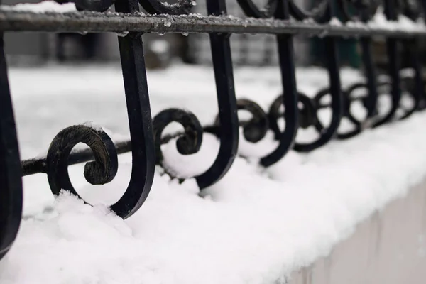Black metal forged fence and snow close up
