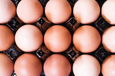 Bir kutunun üstünde bir sürü tavuk yumurtası