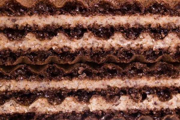 초콜릿 웨이퍼는 배경이나 질감을 가까이서 수있다 — 스톡 사진