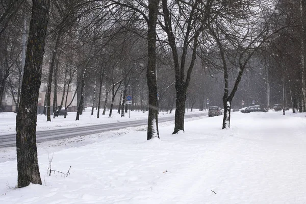Strada Alberi Nella Neve Città — Foto Stock