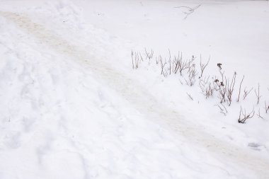 Beyaz kar ve patikada kuru çim dalları
