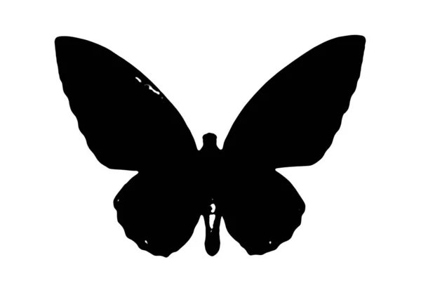 Silhouette Noire Papillon Sur Fond Blanc — Photo