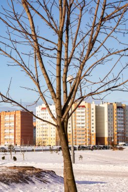 Evlerin ve karın arka planında çıplak ağaç