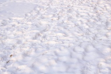 Beyaz kar ve arka planda bir sürü ayakkabı izi var.