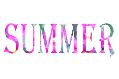 Beyaz arka planda izole edilmiş pembe çiçeklerden oluşan bir yaz.