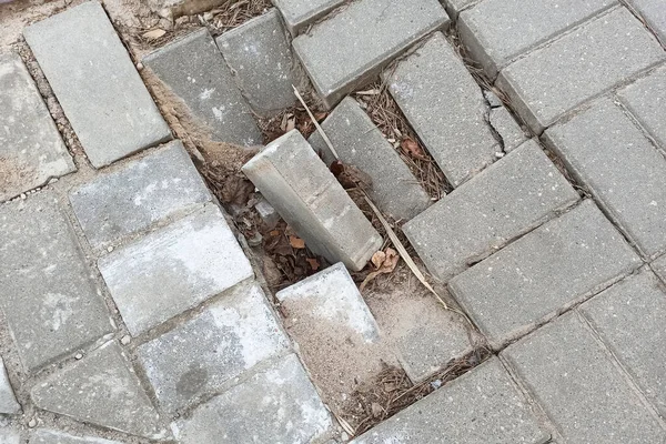 Kaldırımda kırık gri fayanslar. Yaklaş.
