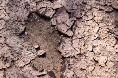 Çatlak, kurumuş çamur yakın plan ya da doku