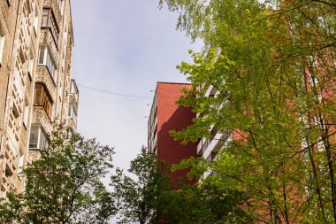 En üst kattaki evler ve mavi gökyüzündeki yeşil ağaçlar.