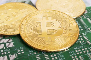 Yeşil devre kartındaki bitcoin 'ler yakın plan