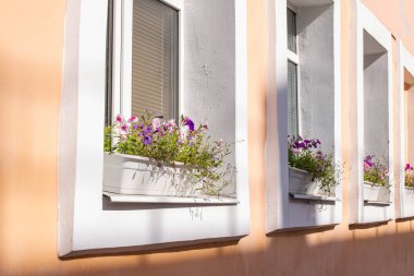 Binanın pencerelerinde saksılar dolusu çiçek var.