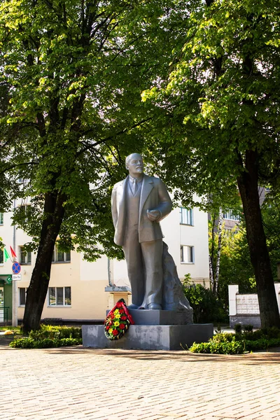 Belarus Polotsk Maj 2021 Lenins Monument Bland Träden Sommaren — Stockfoto