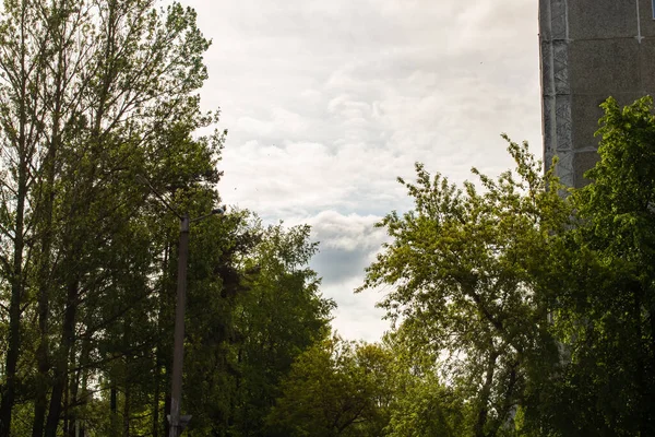 Evin üst katları ve ağaçların tepeleri bulutlu. — Stok fotoğraf