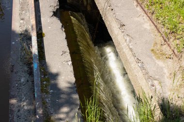 Çamurlu, yeşil suyu olan küçük bir şelale.