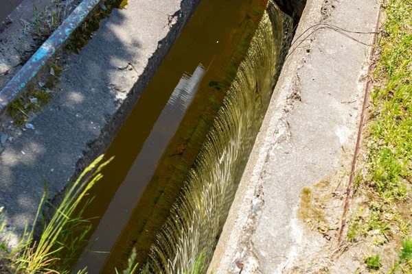 Pequeña Cascada Con Agua Verde Fangosa Cerca —  Fotos de Stock