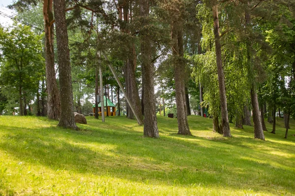 Çardak ve parktaki uzun ağaçlar yakın.
