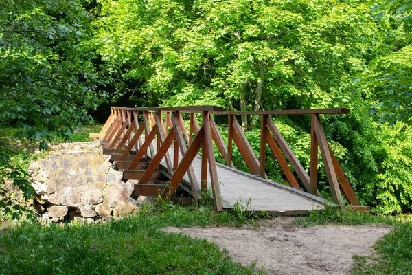 Brücke Über Einen Waldfluss Inmitten Grüner Büsche Aus Nächster Nähe — Stockfoto