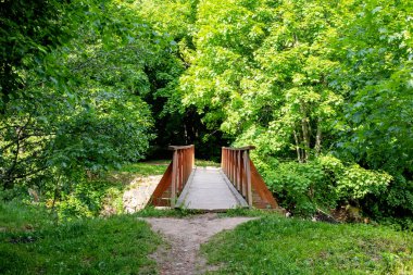 Yeşil çalıların arasında bir orman nehri üzerindeki köprü.