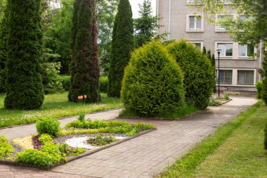 Parktaki eski fayanslı patika. Çimlerin arasına yakın.