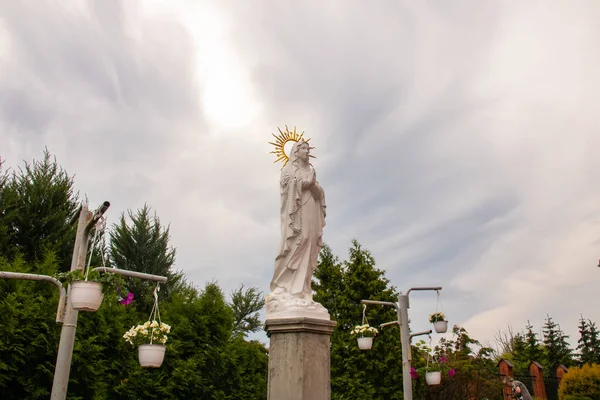 Witte Standbeeld Van Maagd Maria Groen Achtergrond Close — Stockfoto