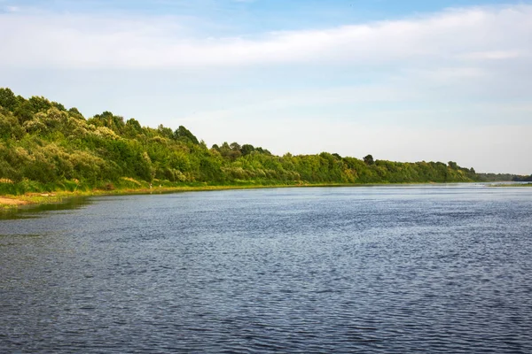 Вид на реку и летний лес под голубым небом — стоковое фото