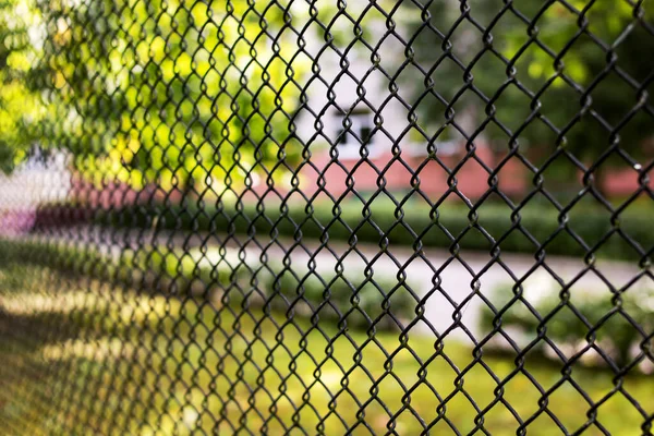 Металева сітка паркан на фоні зеленого саду — стокове фото