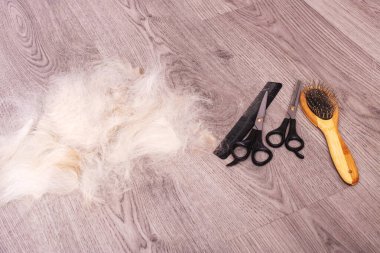 Tahta zeminde köpek kürkü ve makas yığını. Yakın plan.