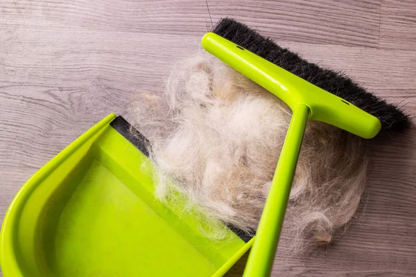 Brush Scoop Sweep Animal Fur Close — Stock Photo, Image