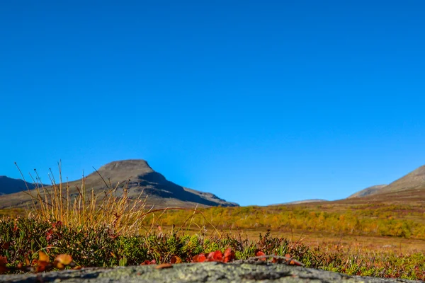 Mooie dag in de Zweedse bergen — Stockfoto