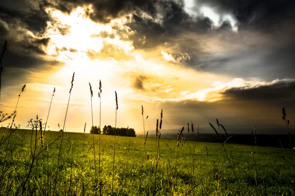 Bellissimo paesaggio con campi verdi e un cielo nuvoloso — Foto Stock