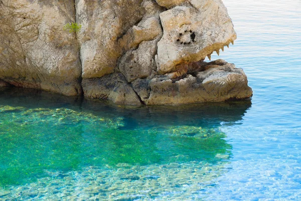 Pescado en piedra con la boca abierta llena de colmillos — Foto de Stock