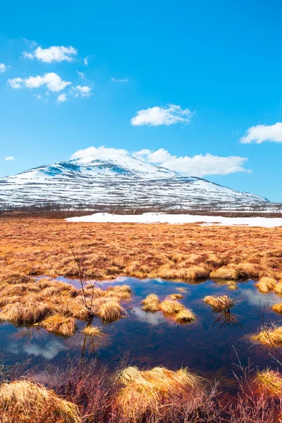 Frühling in den schwedischen Bergen — Stockfoto